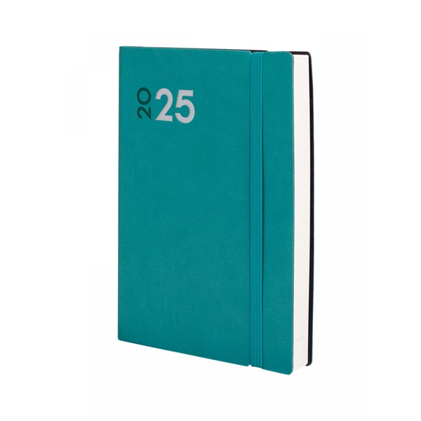 AGENDA FINOCAM DYNAMIC MARA A5 120X170MM. Y4 DIA PAGINA  CATALAN 2025 COLOR VERDE